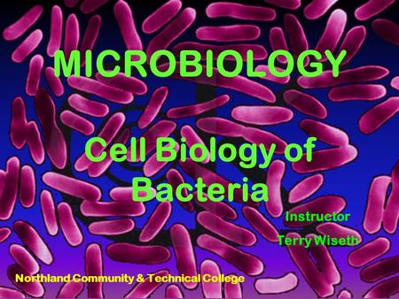 MICROBIOLOGY Cell Biology of Bacteria Northland Community & Technical College Instructor Terry Wiseth.