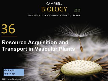 CAMPBELL BIOLOGY Reece Urry Cain Wasserman Minorsky Jackson © 2014 Pearson Education, Inc. TENTH EDITION 36 Resource Acquisition and Transport in Vascular.