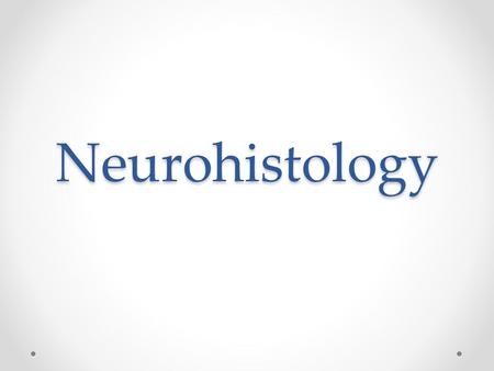 Neurohistology.
