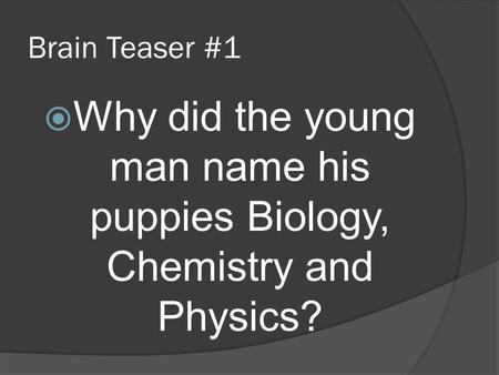 Why did the young man name his puppies Biology, Chemistry and Physics?