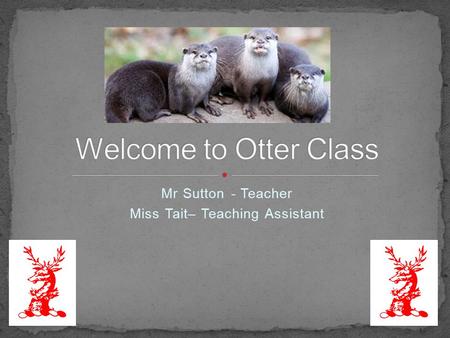Mr Sutton - Teacher Miss Tait– Teaching Assistant.