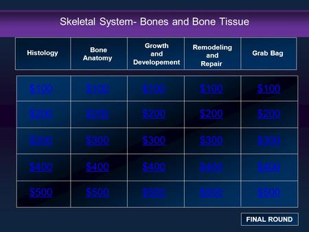 Skeletal System- Bones and Bone Tissue