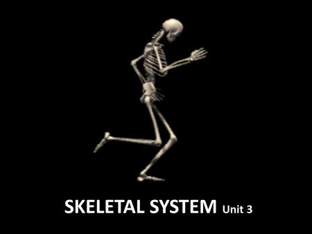 SKELETAL SYSTEM Unit 3. The skeletal system acts as support, mineral storage, produces blood cells, and protects the body.