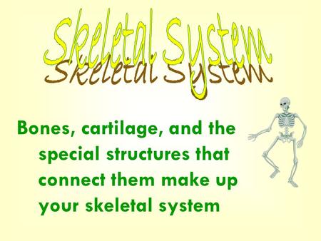 Skeletal System Bones, cartilage, and the special structures that connect them make up your skeletal system.