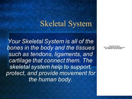 Skeletal System Your Skeletal System is all of the bones in the body and the tissues such as tendons, ligaments, and cartilage that connect them. The skeletal.