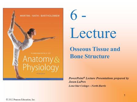 6 - Lecture Osseous Tissue and Bone Structure.