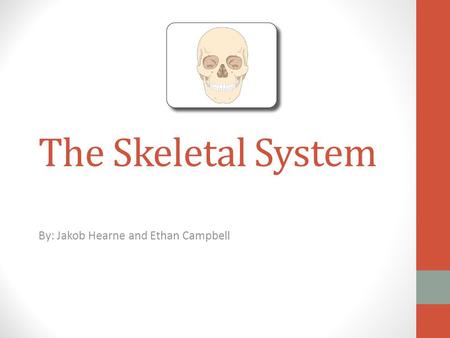 The Skeletal System By: Jakob Hearne and Ethan Campbell.