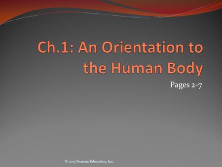 Ch.1: An Orientation to the Human Body