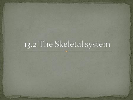 13.2 The Skeletal system.