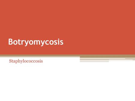 Botryomycosis Staphylococcosis.