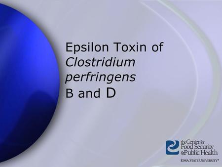 Epsilon Toxin of Clostridium perfringens B and D.