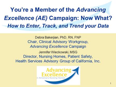 You’re a Member of the Advancing Excellence (AE) Campaign: Now What? How to Enter, Track, and Trend your Data Debra Bakerjian, PhD, RN, FNP Chair, Clinical.