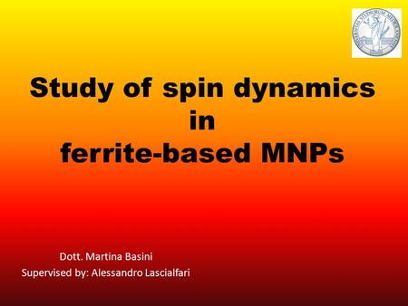 Study of spin dynamics in ferrite-based MNPs