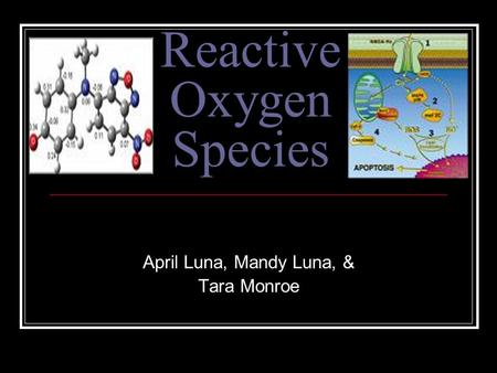 Reactive Oxygen Species April Luna, Mandy Luna, & Tara Monroe.