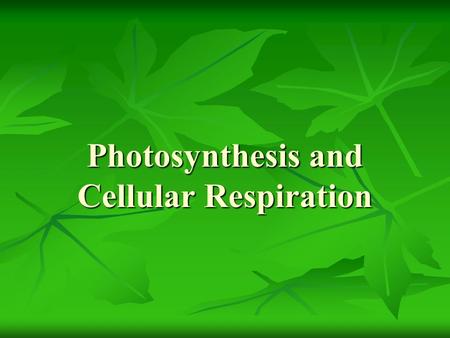 Photosynthesis and Cellular Respiration. Photosynthesis Method of converting sun energy into chemical energy usable by cells Autotrophs: self feeders,
