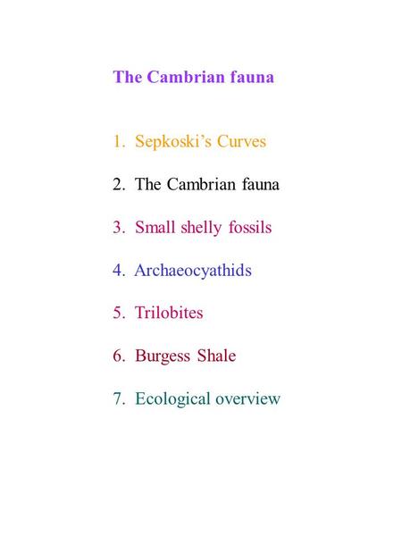 The Cambrian fauna 1.  Sepkoski’s Curves 2.  The Cambrian fauna