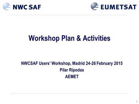 1 Workshop Plan & Activities NWCSAF Users’ Workshop, Madrid 24-26 February 2015 Pilar Rípodas AEMET.