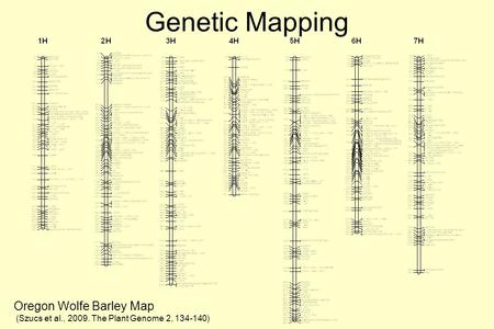 Genetic Mapping Oregon Wolfe Barley Map (Szucs et al., 2009. The Plant Genome 2, 134-140)