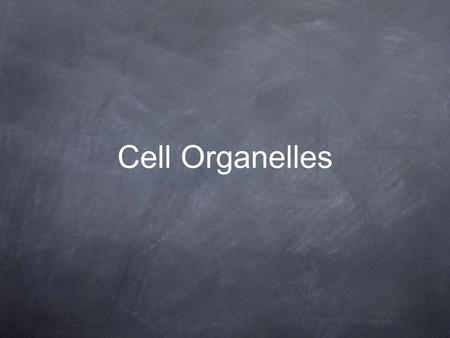 Cell Organelles. Smooth Endoplasmic Reticulum Transportation network that processes lipids.