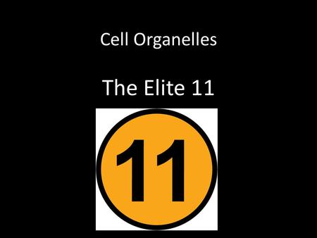 Cell Organelles The Elite 11.