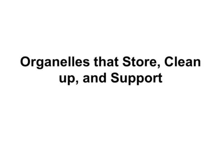 Organelles that Store, Clean up, and Support. Organelles that store, clean up, and support Vacuoles, Vesicles, Lysosomes, and the Cytoskeleton Vacuoles.