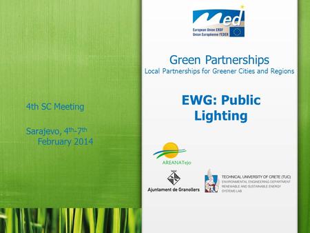Green Partnerships Local Partnerships for Greener Cities and Regions 4th SC Meeting Sarajevo, 4 th -7 th February 2014 EWG: Public Lighting.