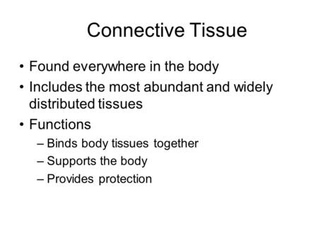 Connective Tissue Found everywhere in the body Includes the most abundant and widely distributed tissues Functions –Binds body tissues together –Supports.