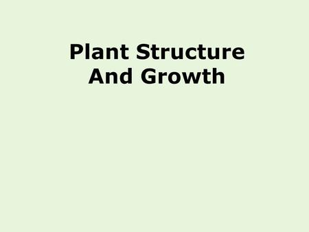 Plant Structure And Growth