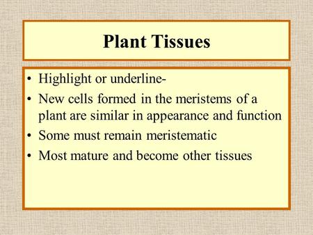 Highlight or underline- New cells formed in the meristems of a plant are similar in appearance and function Some must remain meristematic Most mature.