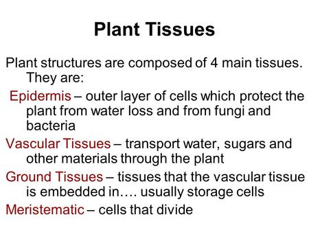 Plant Tissues Plant structures are composed of 4 main tissues. They are: Epidermis – outer layer of cells which protect the plant from water loss and from.