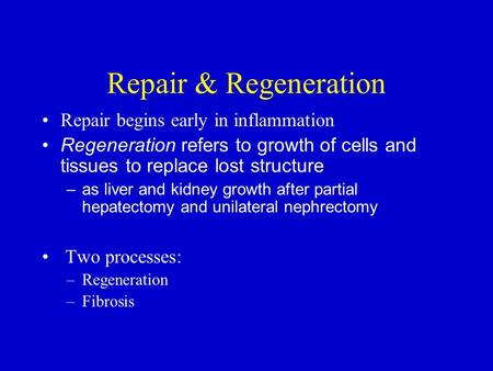 Repair & Regeneration Repair begins early in inflammation