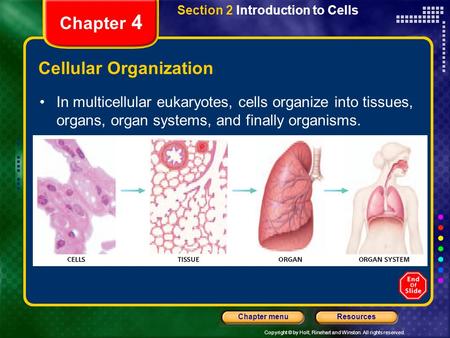 Copyright © by Holt, Rinehart and Winston. All rights reserved. ResourcesChapter menu Section 2 Introduction to Cells Chapter 4 Cellular Organization In.