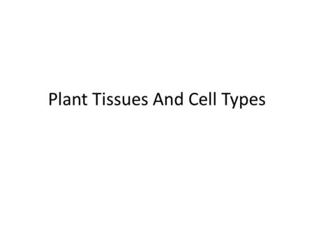 Plant Tissues And Cell Types