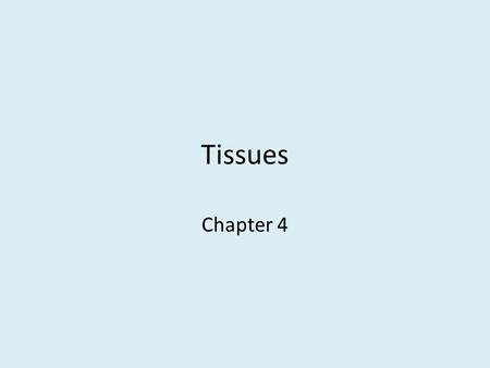 Tissues Chapter 4. Outline  Organs and Tissues  Meristematic Tissues Apical Meristems Lateral Meristems Intercalary Meristems  Tissues Produced by.