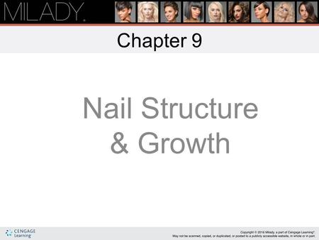 Nail Structure & Growth