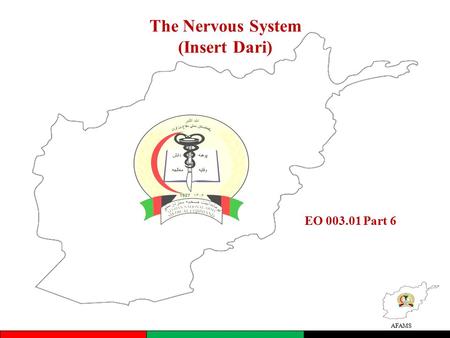 AFAMS The Nervous System (Insert Dari) EO 003.01 Part 6.