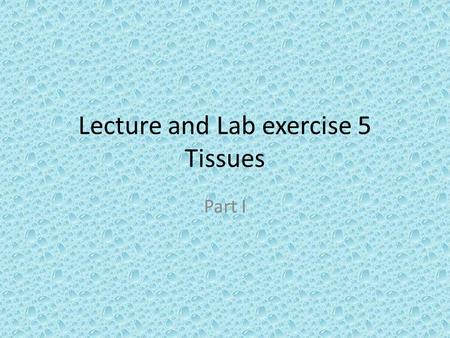 Lecture and Lab exercise 5 Tissues