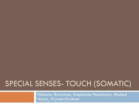 SPECIAL SENSES- TOUCH (SOMATIC) Nicholas Brazones, Stephanie Hutchinson, Khaled Nada, Wynne Kirchner.