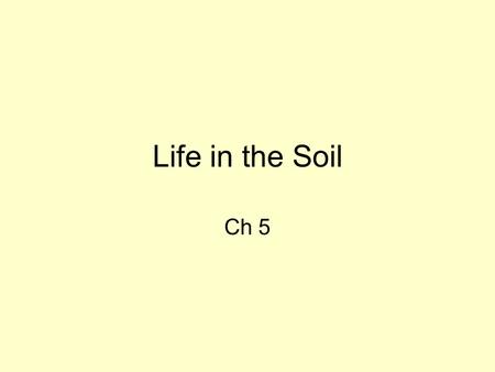 Life in the Soil Ch 5. Soil teems with life... 1 teaspoon of fertile soil could contain: 100 nematodes 250,000 algae 300,000 amoeba 450,000 fungi 11,700,000.