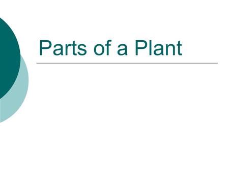 Parts of a Plant. Flower  Reproductive organ of the plant  Flowers are usually both male and female  The male part of the flower is the STAMEN  The.