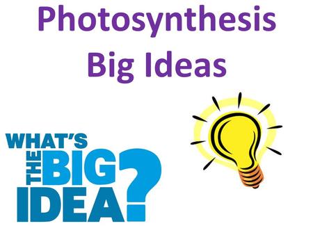 Photosynthesis Big Ideas