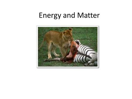 Energy and Matter. Energy Flow Cycle Organisms and Energy Almost all energy on Earth comes from the Sun.