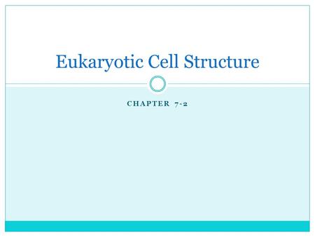 CHAPTER 7-2 Eukaryotic Cell Structure. Basic Cell Info Cells are like factories  Every part inside the cell has a specific job Each part of a cell functions.