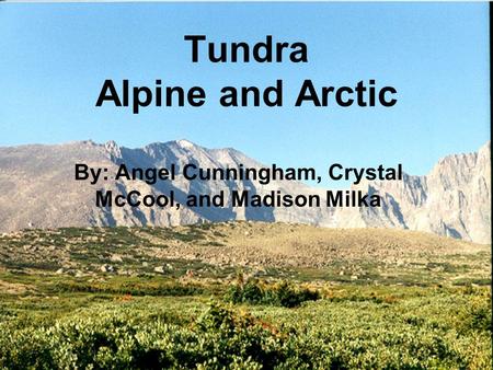 Tundra Alpine and Arctic