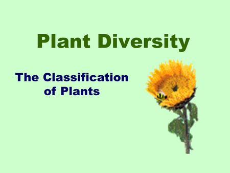 The Classification of Plants