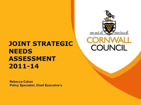 JOINT STRATEGIC NEEDS ASSESSMENT 2011-14 Rebecca Cohen Policy Specialist, Chief Executive’s.