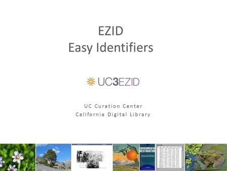 EZID Easy Identifiers UC Curation Center California Digital Library.