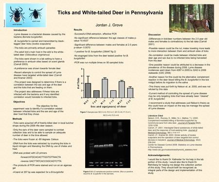 Ticks and White-tailed Deer in Pennsylvania Jordan J. Grove Methods -Ticks were acquired off of freshly killed deer in local butcher shops during the 2006.