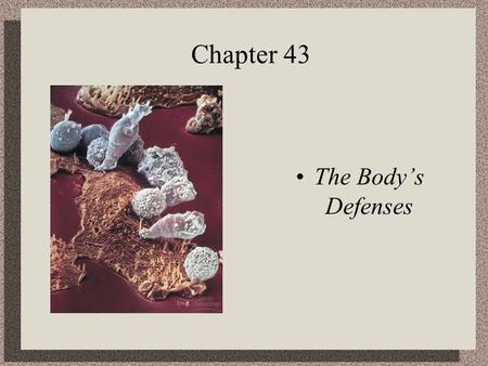 Chapter 43 The Body’s Defenses. Lines of Defense Nonspecific Defense Mechanisms……