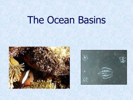 The Ocean Basins. Five Major Oceans Arctic Pacific IndianAtlantic Southern.